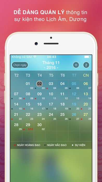 iPhone Screenshot 2