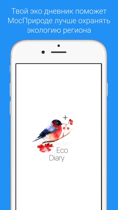 iPhone Screenshot 5