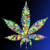 3D Weed Обои HD: Котировки