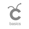 Cricut Basics cardstock 