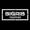BIGRIB