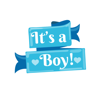 Kate Steinmeyer - It's A Boy! Stickers artwork