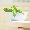 Indoor Gardening for Beginners-Vegetable Guide vegetable gardening tips 