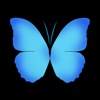 Everpix Pro - HD Wallpapers and Backgrounds Lifestyle