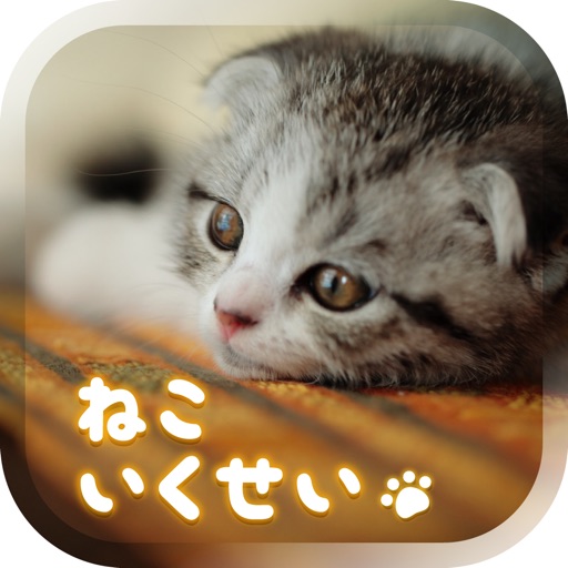 癒しの猫育成ゲーム3d 無料 Iphone最新人気アプリランキング Ios App