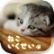 癒しの猫育成ゲーム3D＊無料＊