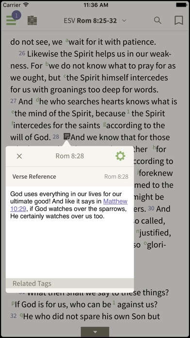 Esv Study Bible By Olive Tree review screenshots