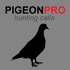 REAL Pigeon Calls and Pigeon Sounds for Hunting! - BLUETOOTH COMPATIBLE wilderness resort pigeon forge 