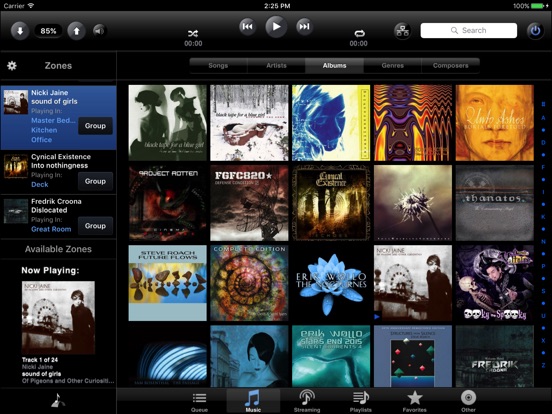iPad Screenshot 1