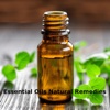 Essential Oils Natural Remedies Tips-Health Guide health beauty oils 