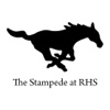 The Stampede at RHS stampede blue 