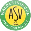 ASV Waldleiningen 1965 e.V. fun trivia from 1965 