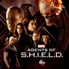 Marvel's Agents of S.H.I.E.L.D. - Farewell, Cruel World! artwork