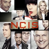 NCIS - NCIS, Season 15  artwork
