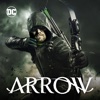 Arrow - Reversal artwork