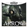 Arrow - We Fall  artwork