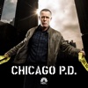 Chicago PD - Reform  artwork