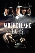 Poster för Mulholland Falls