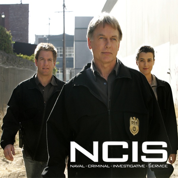 Ncis Season 7 Episode 11 Gorillavid The Walking