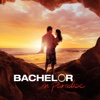 Bachelor in Paradise - 206B  artwork