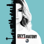 Grey's Anatomy - Grey's Anatomy, Season 13  artwork