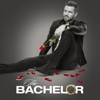 The Bachelor - 2105  artwork